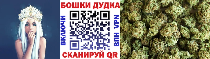 Купить наркотики Бронницы Канабис  ЭКСТАЗИ  Гашиш  Меф  Альфа ПВП 