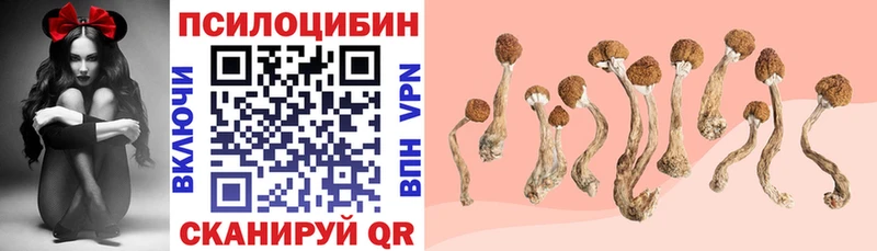 Псилоцибиновые грибы ЛСД  Бронницы 